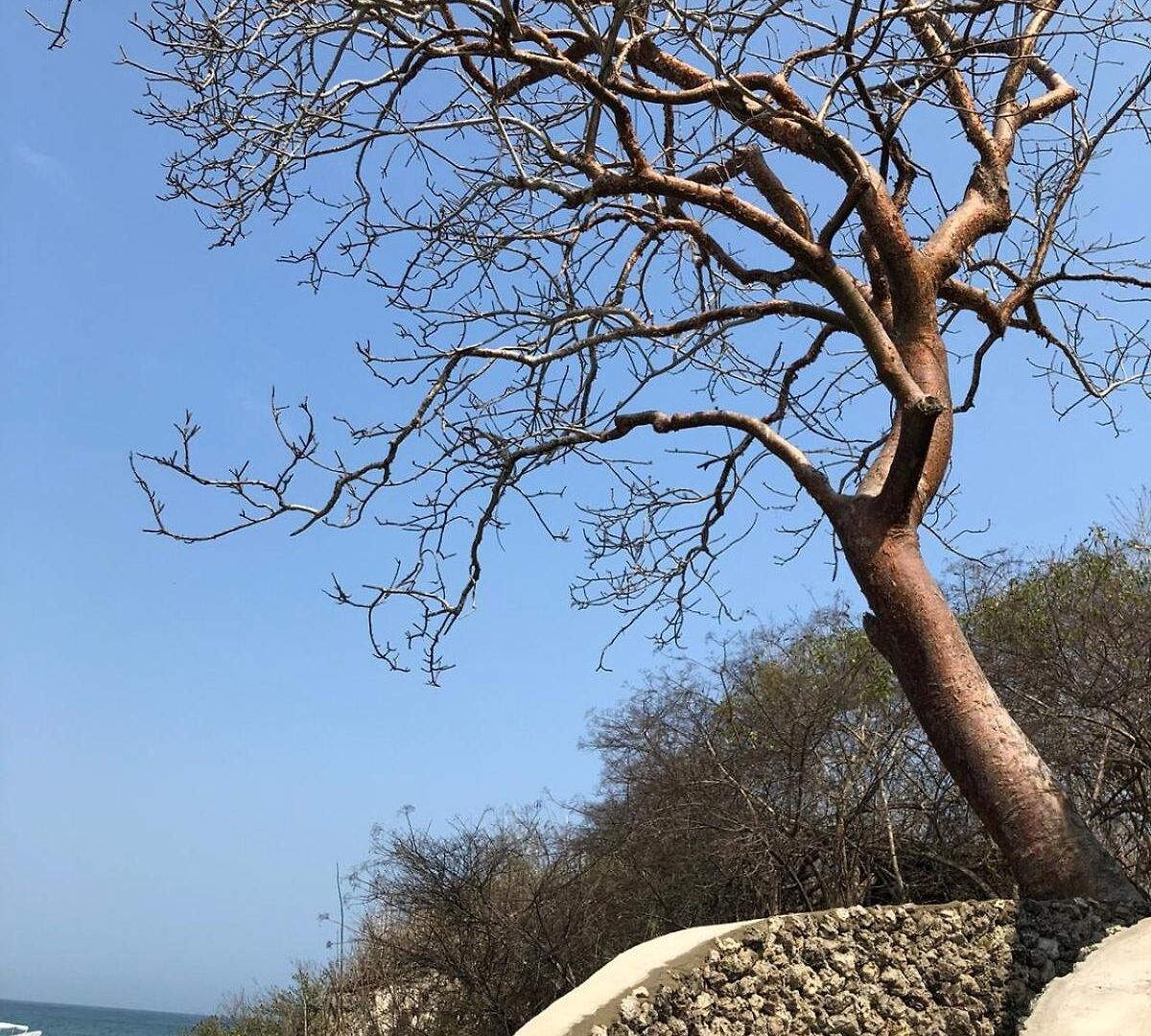Pamaduih - Above The Sea Cartagena
