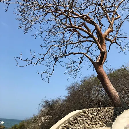 Pamaduih - Above The Sea Cartagena