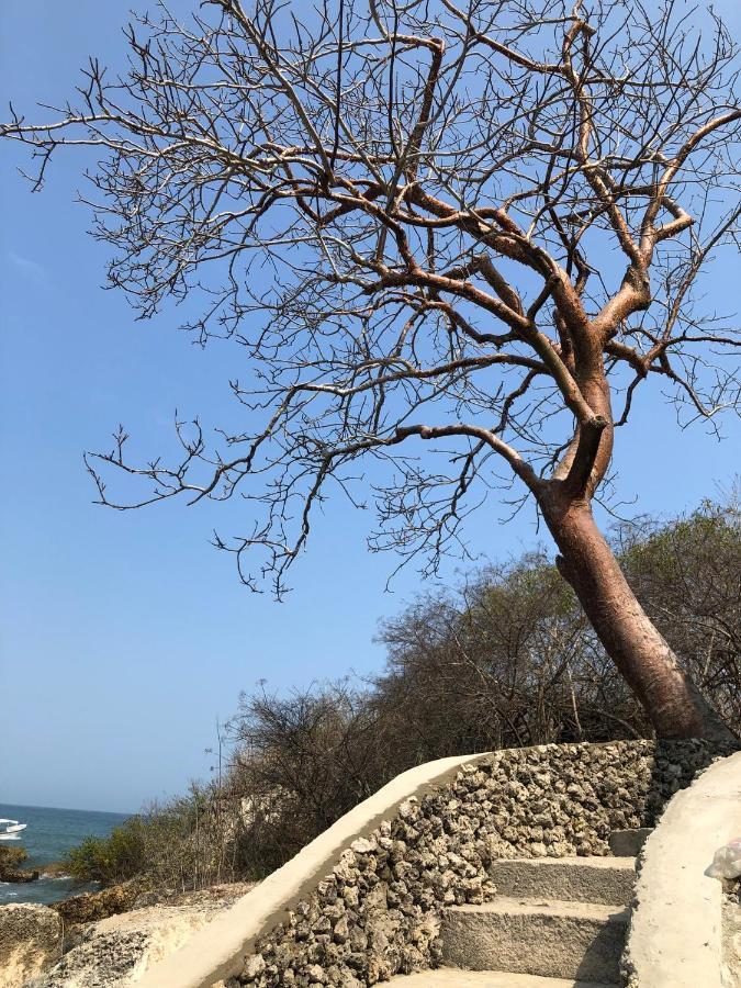Pamaduih - Above The Sea Cartagena